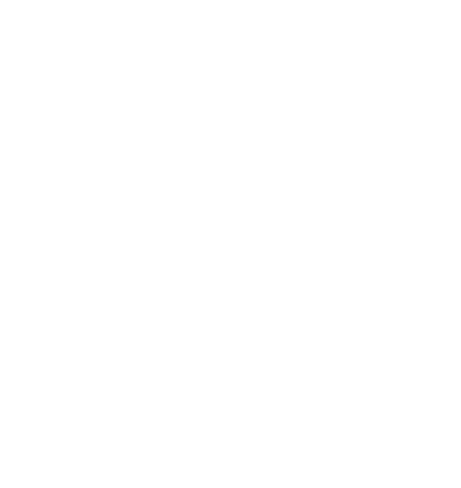 vector